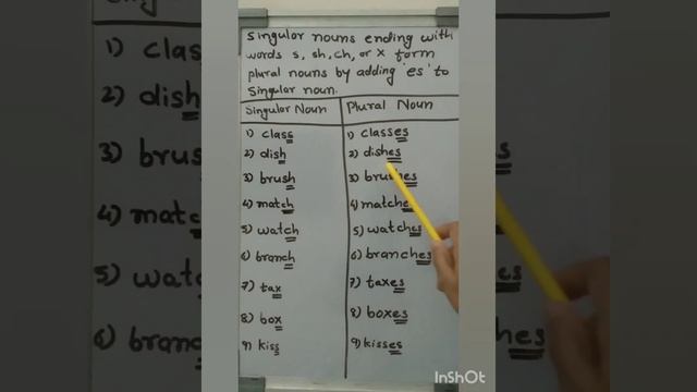 Singular Nouns and Plural Nouns |English  | Grammar