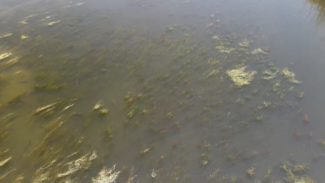 С высоты птичьего полёта смотреть онлайн