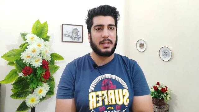 Salt and spices are good or bad for Cats ? Turmeric is good For Cats | Persian Cat Can eat Salt смотреть онлайн