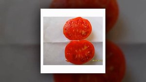 Низкорослые сорта для посадки в 2019 году!