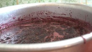 Вкусный и Очень Полезный Джем из ШЕЛКОВИЦЫ