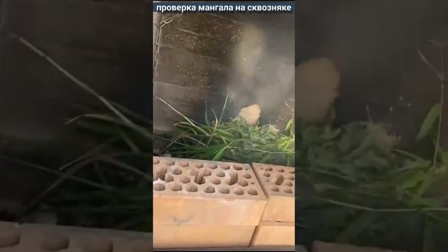 дымит на сквозняке, что делать?