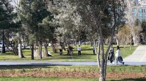 Первый день в Баку: Март 2024