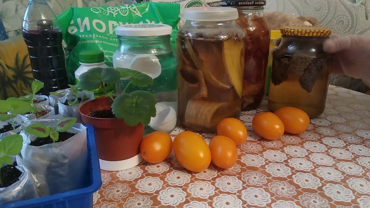 Натуральные Подкормки, своими руками. Без химии!