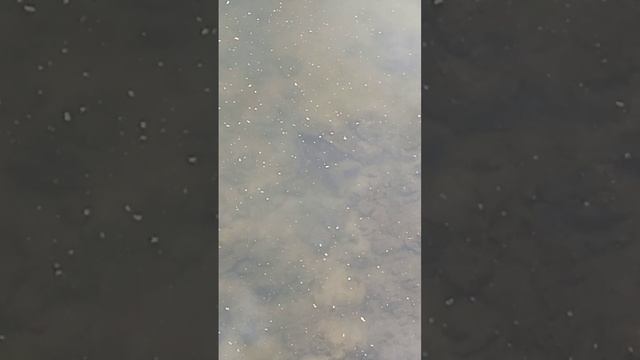 10 октября 2022 г. смотреть онлайн