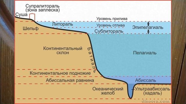 ЛИТОРАЛЬ. РЫБАЛКА И ОХОТА. ТЕРМИНЫ КРАТКО, ОПРЕДЕЛЕНИЯ ХОББИ В ТЕРМ  73й ЛИТОРАЛЬ