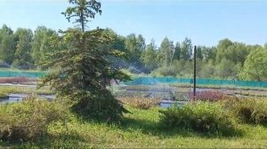 Спринклерный полив в Фабрике растений Никитенко 27.05.2024