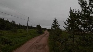 В дальний путь на Bajaj Boxer 150. Часть 14 - Медведь, Белое море, Варзуга