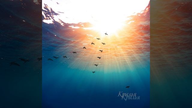 Крылья смотреть онлайн