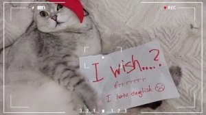 I wish пафосная конструкция English