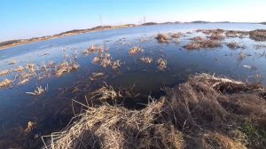 Охота на карасей с рогатки(рыбалка с рогткой)(slingshot fishing)