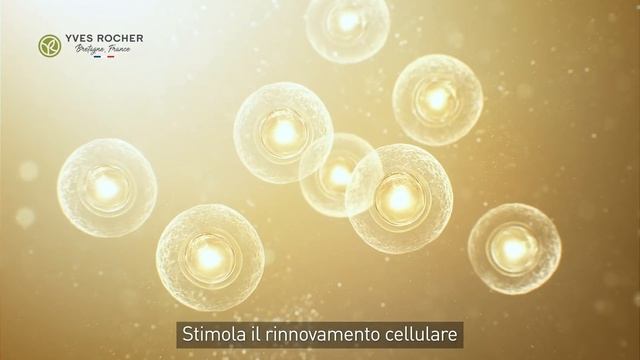 Anti-Age Global novità Radiance: illumina e rigenera!