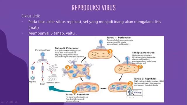 Virus - Bahas Harian Ajak Belajar - Vincent смотреть онлайн