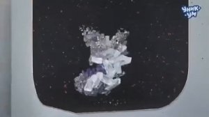 Реклама (Уникум, октябрь 2020) Заставка 2