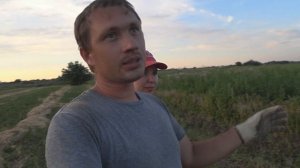 Взяли земельный участок / Сельское хозяйство с нуля // Жизнь в деревне