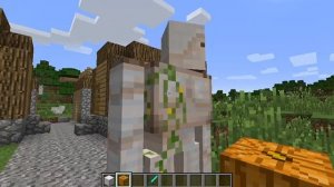 создание големов, осмотр деревни 13.