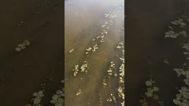 5 сентября 2022 г. смотреть онлайн