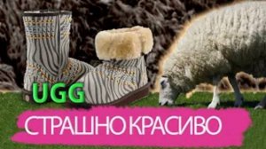 От уродливой обуви пастухов до гардеробов мировых звезд: как появились сапожки UGG?