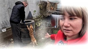 Если честно, мы сами этого не ожидали