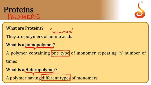 PU 2 | NEET S1 | Biology | Biomolecules | Lecture 02 | Slide 02 | Proteins