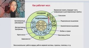 Что такое сознание в вашем мозге Ч.1.