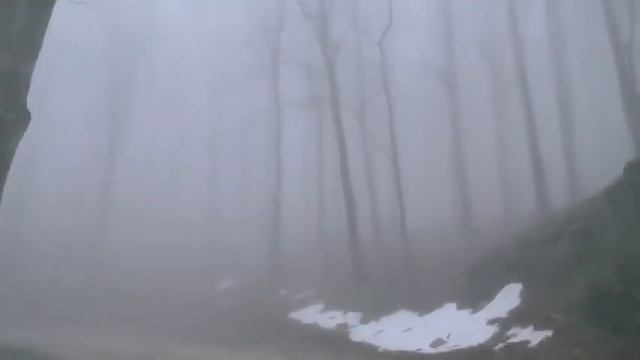 Depressive Atmospheric Black Metal | COMPILACIÓN N°1
