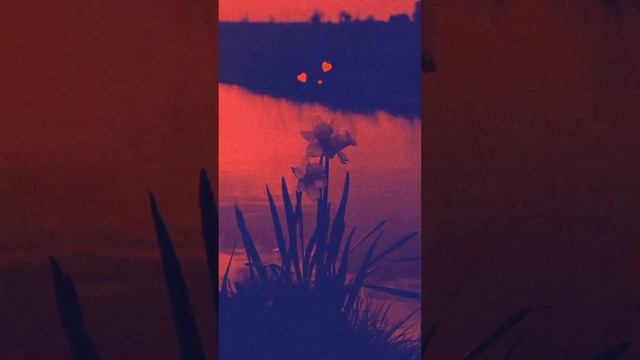 ❤️ смотреть онлайн