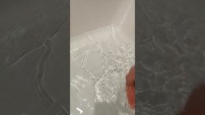 Как помыть белку