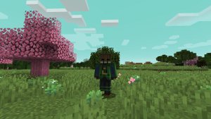Minecraft mystic biomes mod showcase 1.16.5