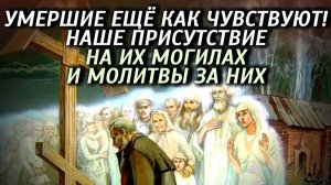 Чувствуют усопшие наше присутствие на своих могилах – и как еще чувствуют! Николай Сербский