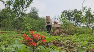 Single mother: Nguyen went to the hospital at 3 a.m. How will Grandfather's mood be? | Ly Thi Duyen