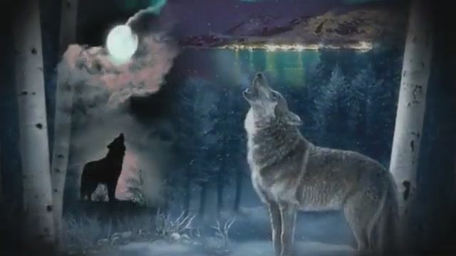 Одинокий волк...исп. Влад Порфиров смотреть онлайн