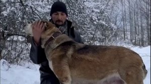 Ура, у нас снова малыши!