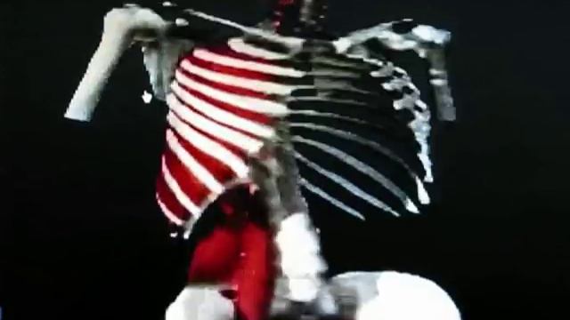 Scio and Sports.mp4 смотреть онлайн