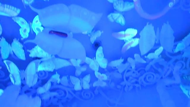 DSCN0429 смотреть онлайн