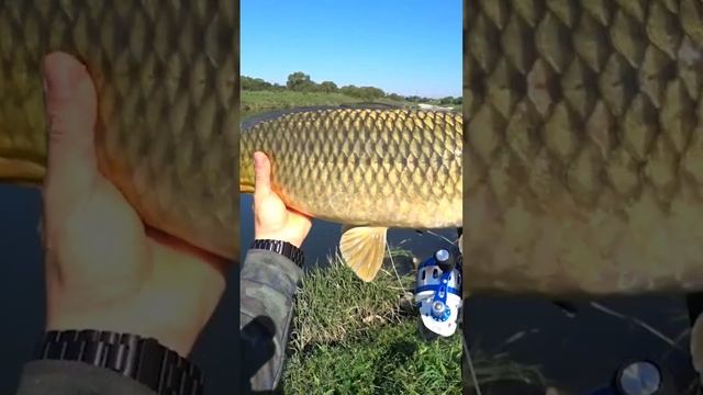 26 сентября 2022 г. смотреть онлайн