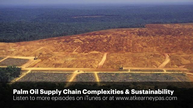 Palm Oil Supply Chain Complexities and Sustainability