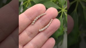 Серьги-клаймберы (перевёртыши), медицинский сплав