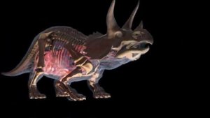 The BEST of Dinosaurs - Dinosaurs Age Real Videos
