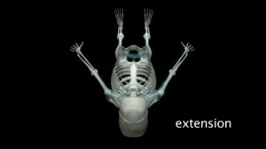 Краниосакральная биодинамика что это ?