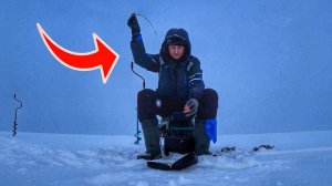 Первая зимняя рыбалка на Ладоге сезона 2022 | Ловля окуня на блесну