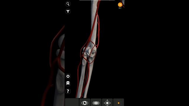 Анастомозы смотреть онлайн