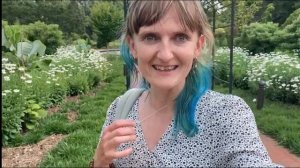 EBT, Food Stamps, WIC и другие карточки-пособия в США. Прогулка по ботаническому саду.