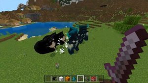 Maxwell The Cat dance in Minecraft PE