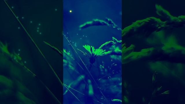 ❤️ смотреть онлайн