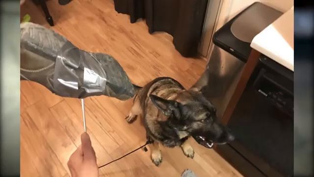 Dying Light 2 Game Review Nurbiz Zombie Invasions Yet To Be Revealed смотреть онлайн