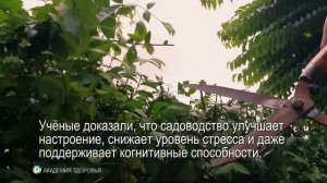 В 82 года сохраняет молодость. Секреты здоровья и жизни Джуди Шейндлин