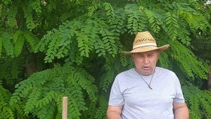 Как избавиться от крота на участке?