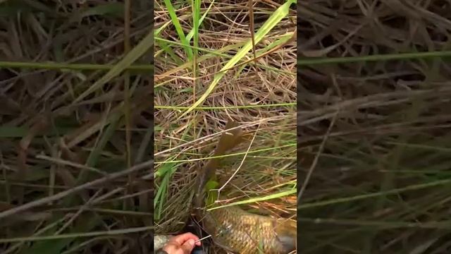 13 августа 2022 г. смотреть онлайн