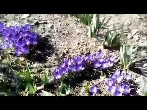 УСПЕВАЕМ ОЩУЩАТЬ ПОЛНОТУ ЖИЗНИ! ТЫ С НАМИ Ватсап 87712035091 лидер компании ИРИНА ГАЙДАЙЧУК смотреть онлайн